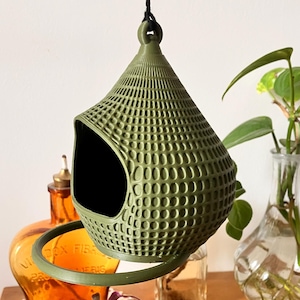 Teardrop Bird Feeder with Perch