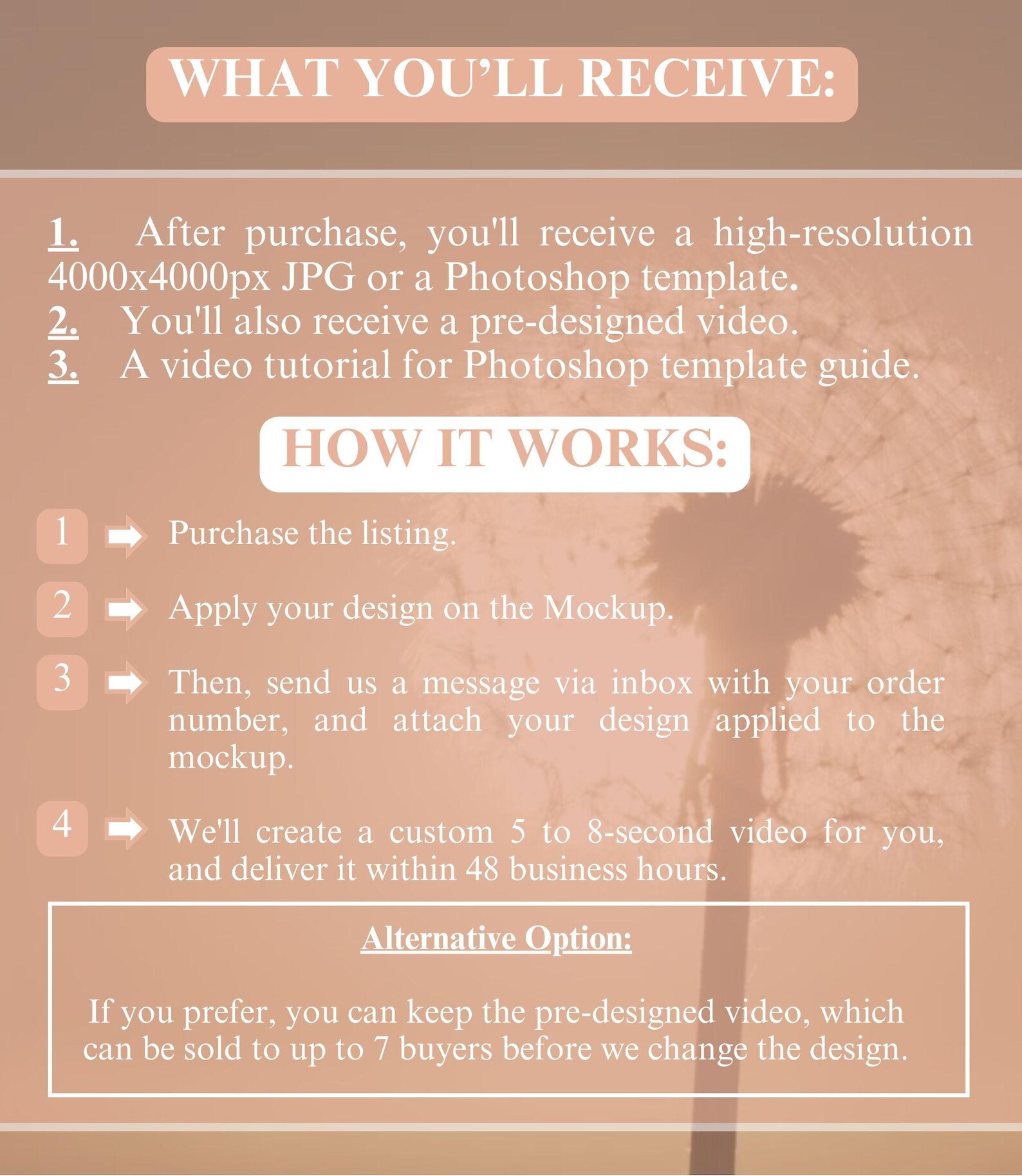 White Baby Bodysuit Video Mockup Service, White Rabbit Skins 4424 Style ...