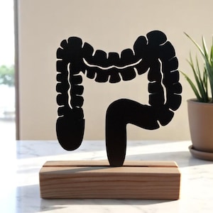 Intestine Wood Sculpture: Modern Medical Anatomy Art