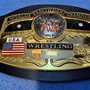 Gold Plated  Dome Globe Championship Belt Replica: Custom Leather