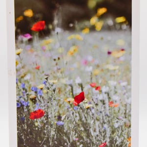 Carte intérieure vierge de fleurs sauvages, enveloppe pour toutes les occasions merci anniversaire amitié rétablissement salutation carte de correspondance personnalisée
