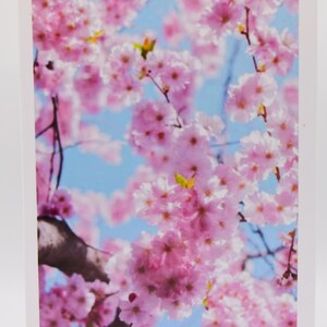 Tarjeta interior en blanco con diseño de flor de cerezo, sobre para toda ocasión, agradecimiento, cumpleaños, amistad, saludo de recuperación, tarjeta de nota personalizada