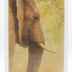 Stier Elefant Aquarell leere Innenseite Karte, Umschlag für alle Gelegenheit Umschlag Danke Geburtstag Freundschaft Gute Besserung Grußkarte personalisiert