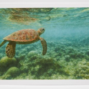 Carte de correspondance sous-marine tortue de mer - carte de voeux vierge à l'intérieur de la faune océanique - carte aquarelle nature - papeterie vie marine A2