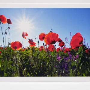 Tarjeta interior en blanco con flores al sol, sobre para toda ocasión, agradecimiento, cumpleaños, amistad, saludo de recuperación, tarjeta de nota personalizada