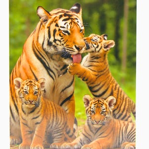 Tarjeta interior en blanco con sobre de cachorros de tigre, para toda ocasión, agradecimiento, cumpleaños, amistad, saludo de recuperación, celebración, tarjeta personalizada