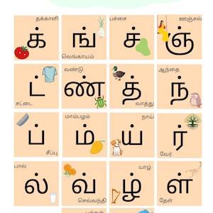 Póster de aprendizaje de consonantes para niños: Tamil Mei Ezhuthukkal