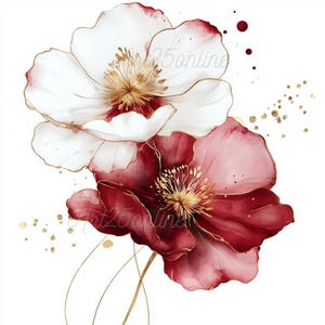 Puede incluir: Ilustración en acuarela de dos flores, una blanca con bordes rojos y la otra de color rojo intenso. Ambas tienen detalles y centros dorados, con motas y tallos dorados. La obra de arte está sobre un fondo blanco.