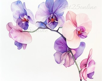5 Orchid Clipart, Watercolor Orchids Wall Art, Printable Watercolor clipart, High Quality PNG, Digital download, Paper craft, junk journal