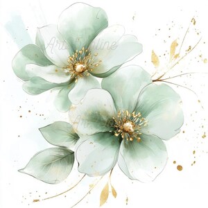 May include: Watercolour painting of two light green flowers with gold centres and gold accents on a white background.