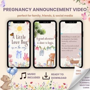 Editable Pregnancy Announcement Video Template, Gender Reveal Video, Little Love Bug Reveal template, Pregnancy Announcement Gender Neutral