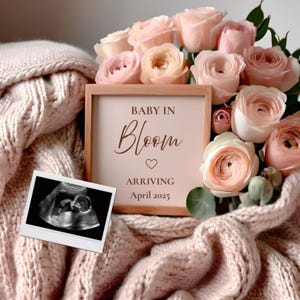 Digital Pregnancy Announcement Video Template, Editable Baby Reveal for Social Media, Custom Pregnancy Reveal Template and Instant Download