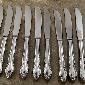 May include: A set of twelve silver-toned stainless steel dinner knives arranged in a row. Each knife features a smooth, polished blade and a decorative handle with an embossed floral scroll pattern at the base, reflecting a classic metallic finish.