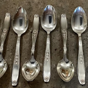Fancy Ambassador Silverplate Teaspoon 12 Piece Flatware Set 1847 Rogers International Silver