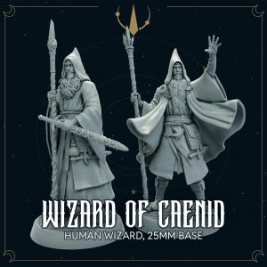 Zauberer von Caenid - Zauberer Miniatur | Dungeons & Dragons Figur, TTRPG Miniatur, DnD, Daggerheart