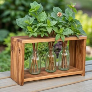 Könnte beinhalten: Ein Holzregal mit drei durchsichtigen Glasflaschen, die mit grünen Pflanzenstecklingen gefüllt sind. Das Regal ist aus dunklem Holz und hat einen rustikalen Look.