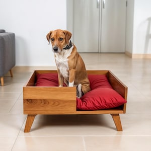 Puede incluir: Un perro marrón y blanco sentado en un cojín rojo en una cama de perro de madera. La cama tiene un borde elevado y cuatro patas.
