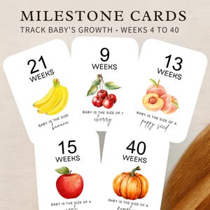 Printable Pregnancy Milestone Cards | Printable Baby Size Tracking Pregnancy Card | Printable Pregnancy Cards