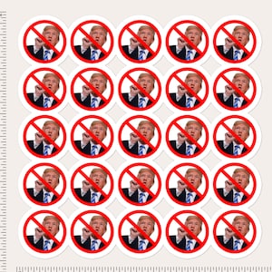 Anti-Trump Sticker Sheet: 25 Vinyl Decals, Activist Designs
