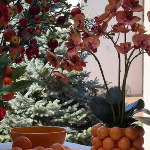 K&ouml;nnte beinhalten: Ein wei&szlig;er Tisch mit einer Sch&uuml;ssel Orangen und einem dekorativen orangen Topf mit einer rosa Orchideenpflanze. Die Orchideenpflanze hat mehrere rosa Bl&uuml;ten.
