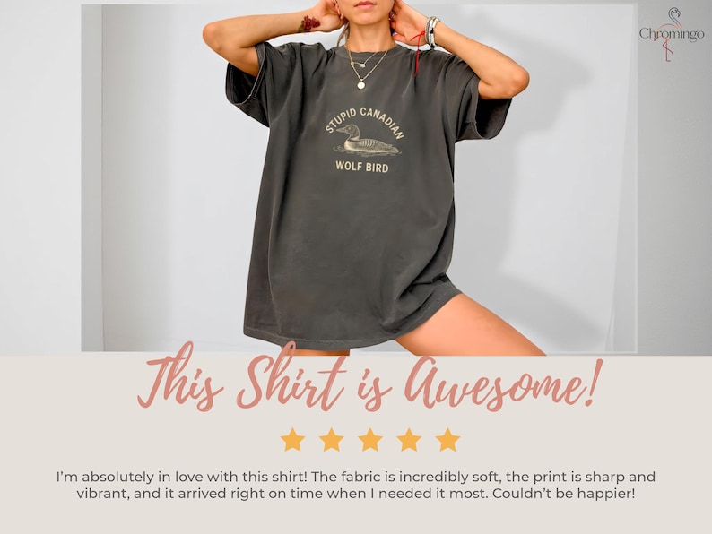 May include: Dark gray t-shirt with the text "STUPID CANADIAN WOLF BIRD" and a graphic of a loon. The shirt is a relaxed fit. The shirt is part of a clothing collection.