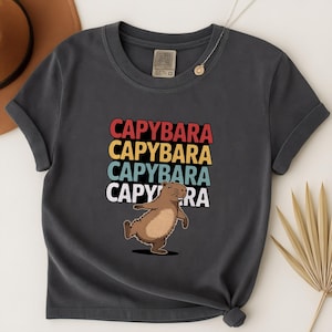 Capybara Shirt, Funny Retro Vintage Graphic T-shirt, Cute Animal Lover Tee, Don&#39;t Worry Be Cappy Meme Gift, Women, Comfort Colors Capybara