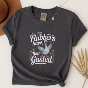 My Flabbers Have Been Gasted Shirt, Funny Flabbergasted TShirt, Meme Tee, Sarcastic T-Shirt, Humor Gift, Funny Quote Unisex Shirt, Gag Gift
