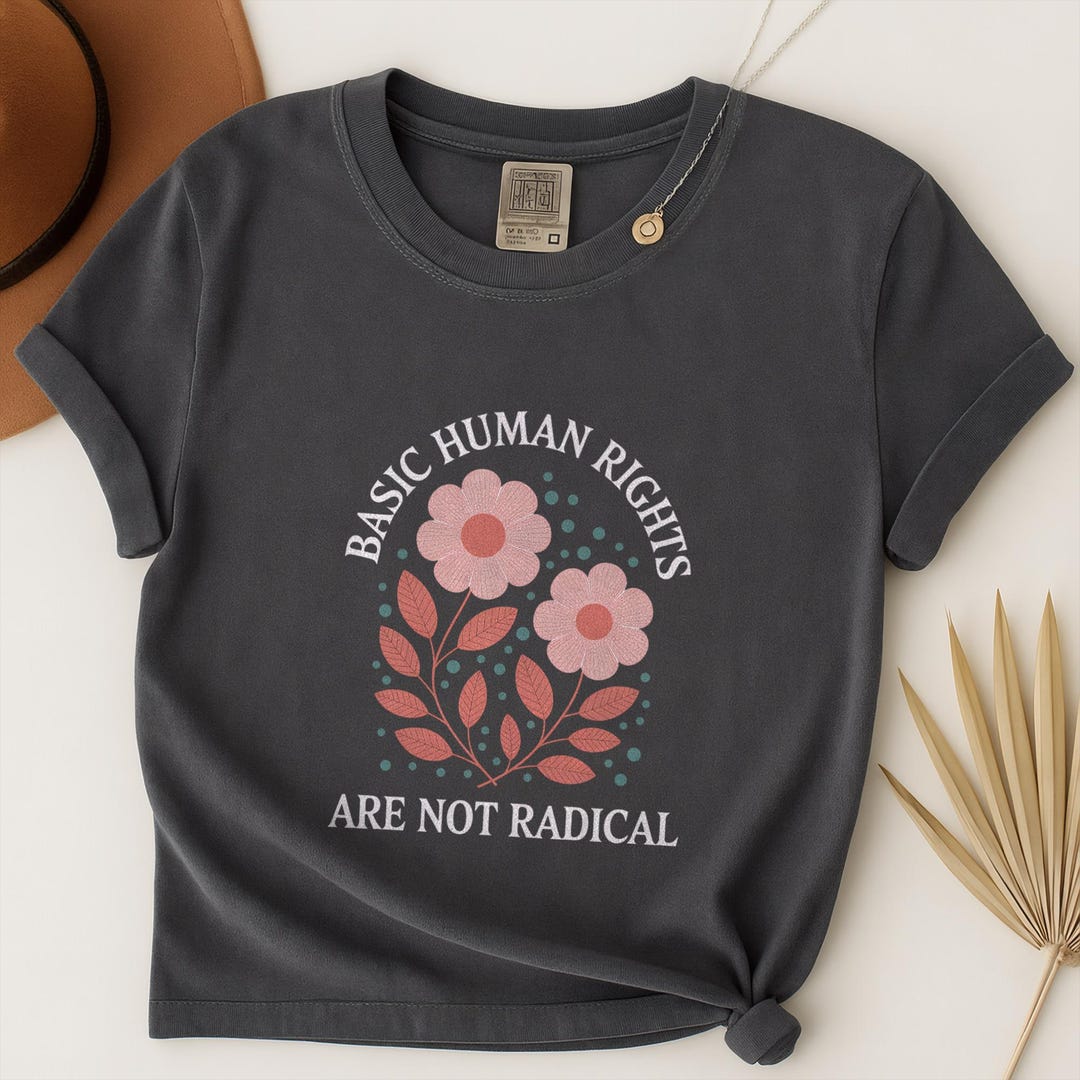 Human Rights Shirt, Basic Human Rights Are Not Radical Tshirt, Comfort ...