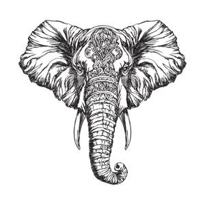 May include: Detailed black and white illustration of an elephant's head. The elephant's face is adorned with intricate patterns and designs, with large ears and tusks. The trunk is curled, and the overall style is reminiscent of a detailed drawing.