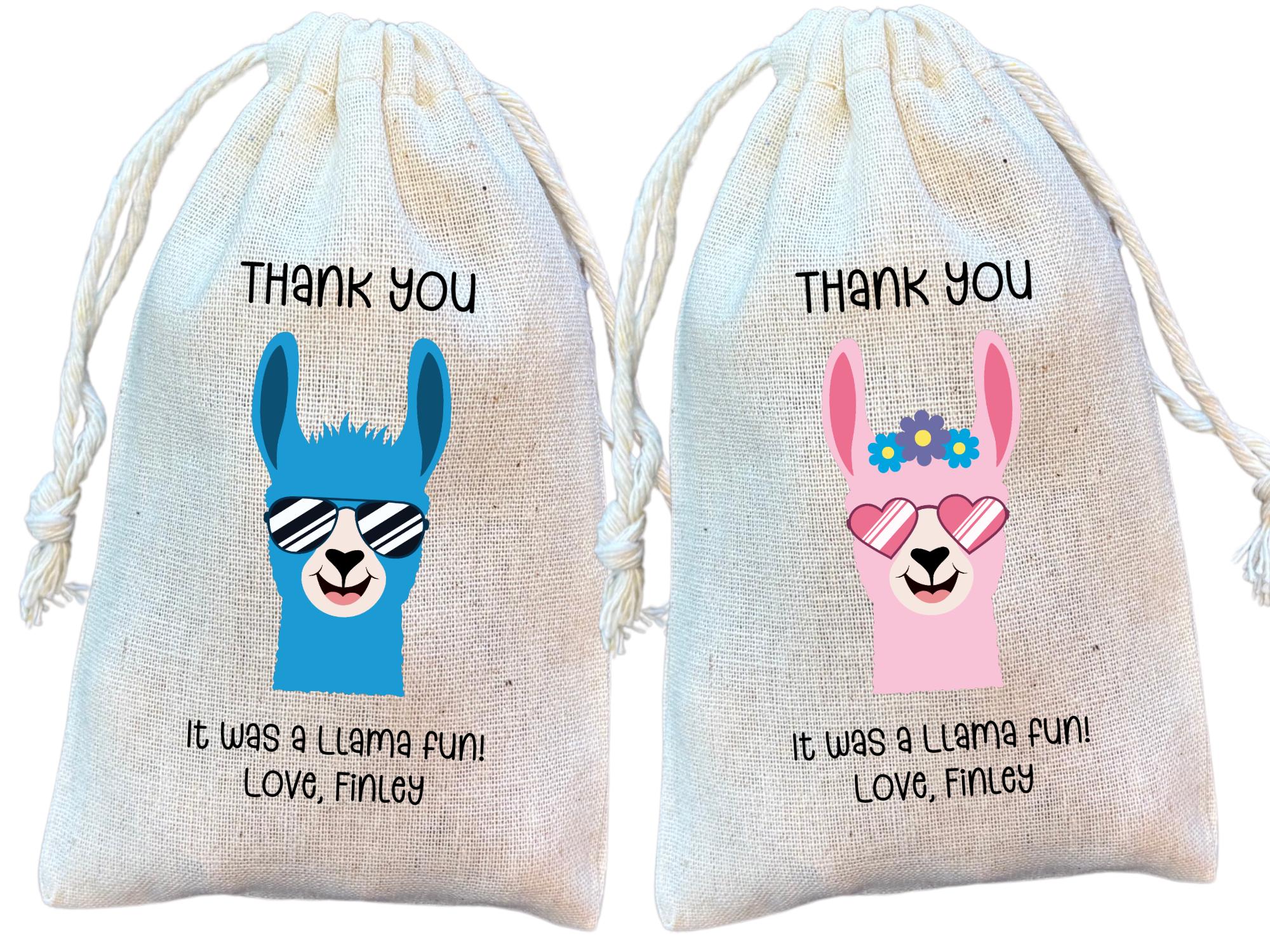 Llama Themed Party Favor Bags, Birthday or Baby Shower Fiesta Gift and Goodie Bag (Item 2143A)