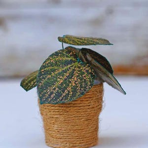 Miniature Paper Plants Printable 1:12 DIY Template
