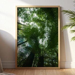 May include: A framed art print featuring a perspective view of a lush green forest canopy. The artwork is displayed on a wooden floor, leaning against a white wall. A potted palm tree and a small side table with a mug and books are also visible.