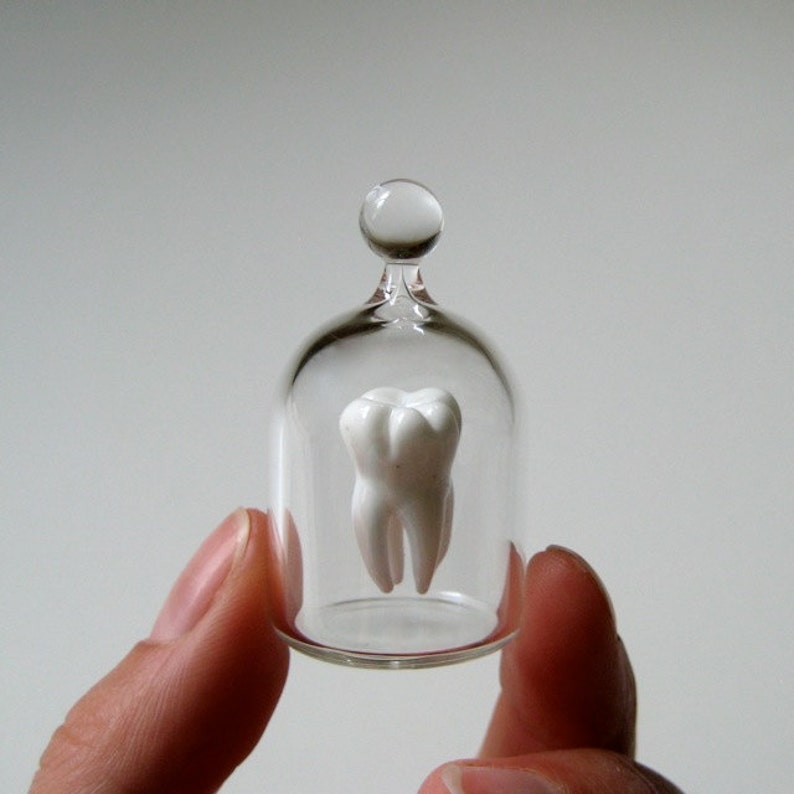 Tooth in a Jar, Hand Blown Glass, Life Sized Molar image 1