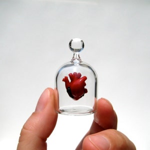 Anatomical Heart in a Jar, Hand Blown Glass Miniature, Anatomically Correct Heart