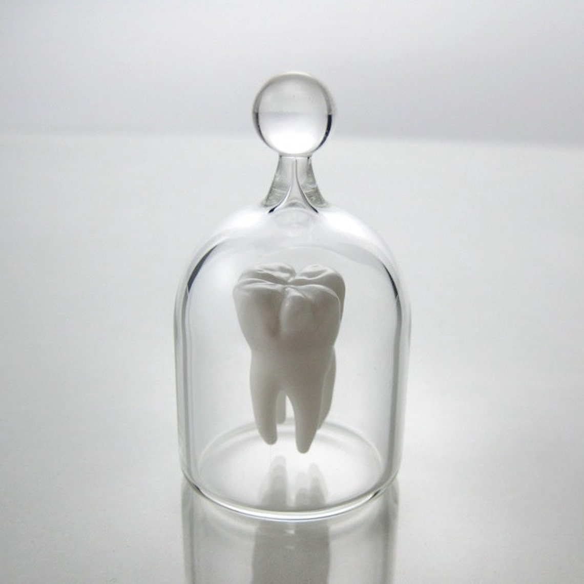 Tooth in a Jar Hand Blown Glass Life Sized Molar Etsy