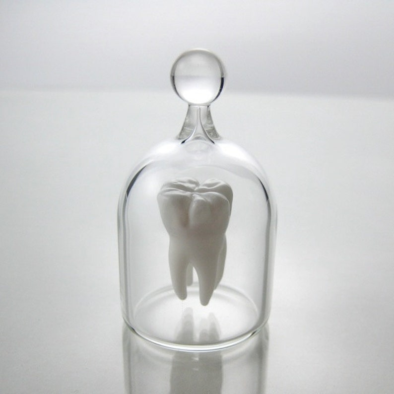 Tooth in a Jar, Hand Blown Glass, Life Sized Molar image 2