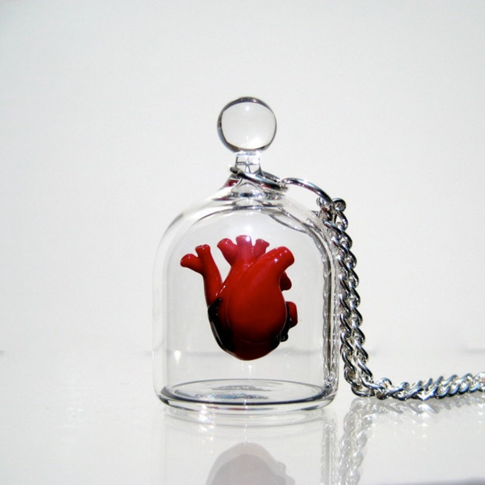 Anatomical Heart Jewelry Necklace Heart in a Jar Etsy