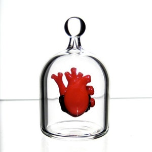 Anatomical Heart in a Jar, Hand Blown Glass Miniature, Anatomically Correct Heart image 2