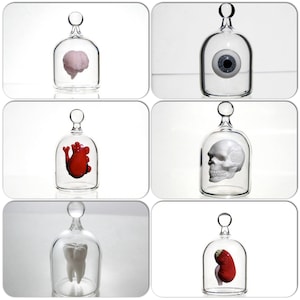 Anatomical Heart in a Jar, Hand Blown Glass Miniature, Anatomically Correct Heart image 5