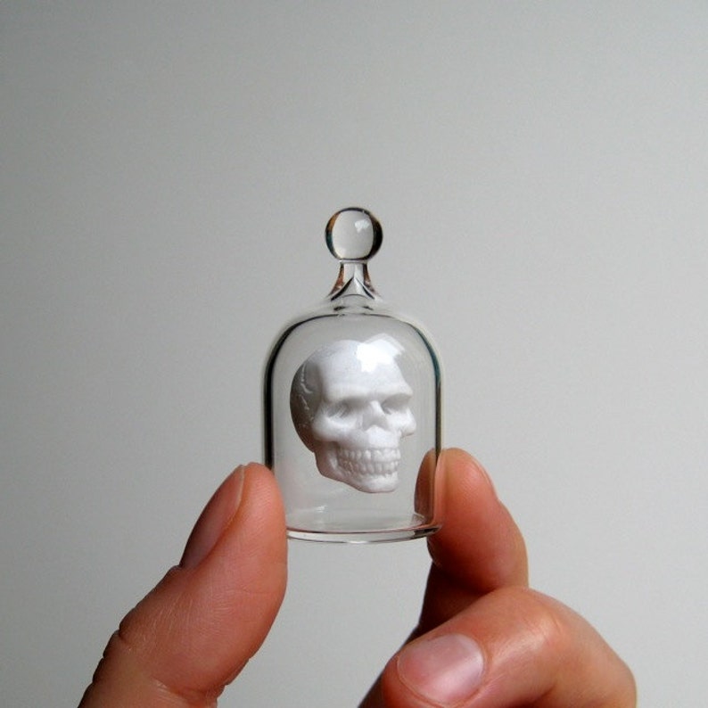 Miniature Skull in a Jar, Human Skull in Hand Blown Glass image 2
