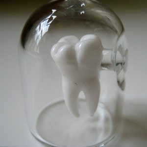 Tooth in a Jar, Hand Blown Glass, Life Sized Molar image 4