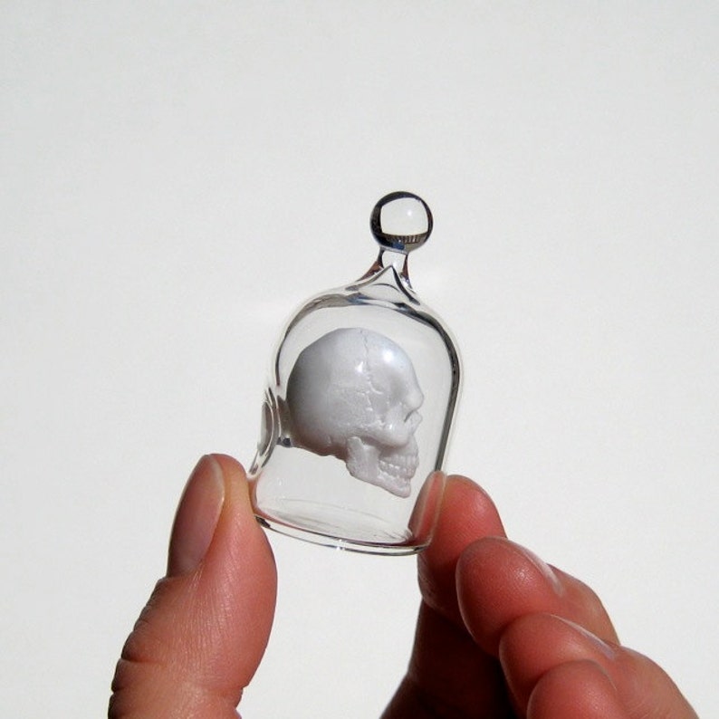 Miniature Skull in a Jar, Human Skull in Hand Blown Glass image 4