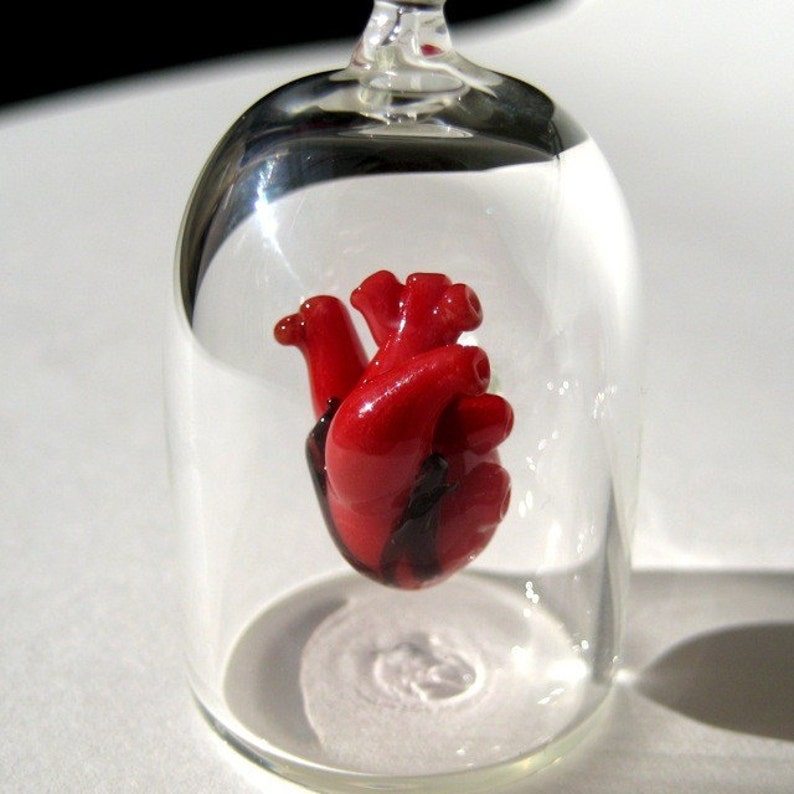 Anatomical Heart Jewelry Necklace Heart in a Jar Etsy