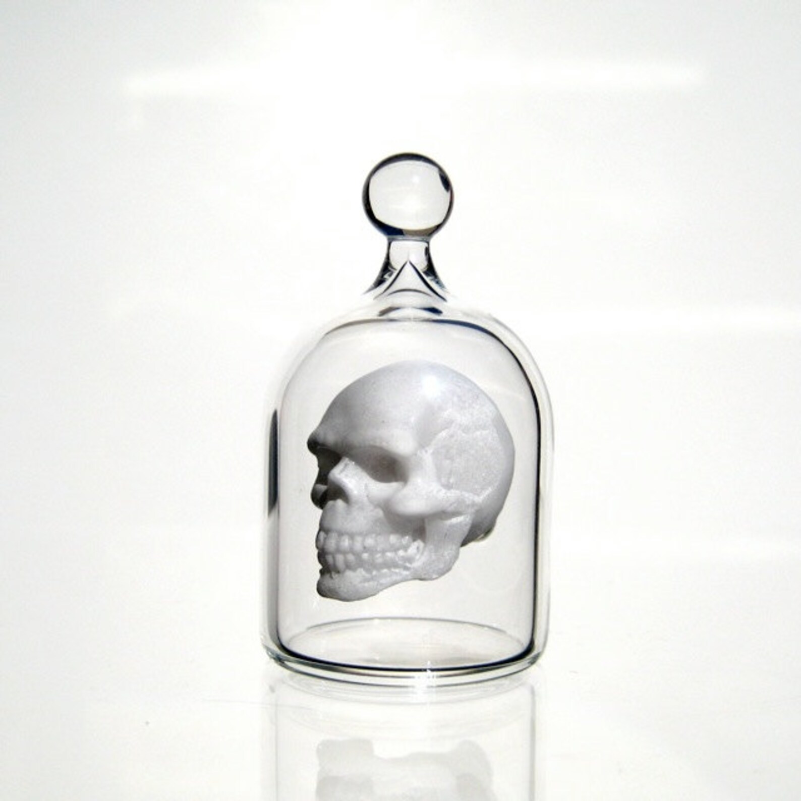Miniature Skull in a Jar Human Skull in Hand Blown Glass Etsy