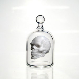 Miniature Skull in a Jar, Human Skull in Hand Blown Glass