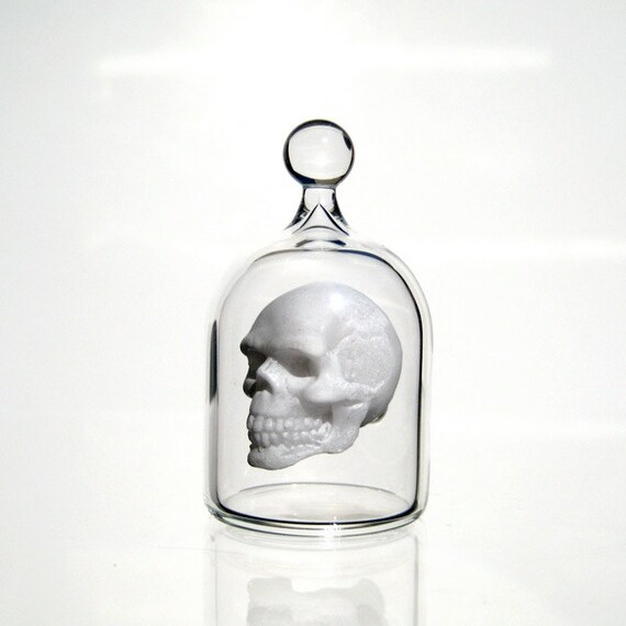 Miniature Skull in a Jar Human Skull in Hand Blown Glass Etsy