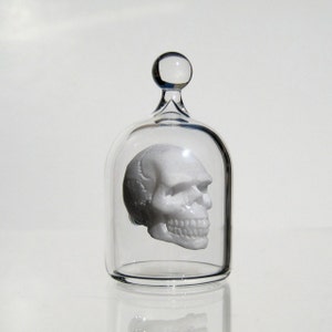 Miniature Skull in a Jar, Human Skull in Hand Blown Glass image 3