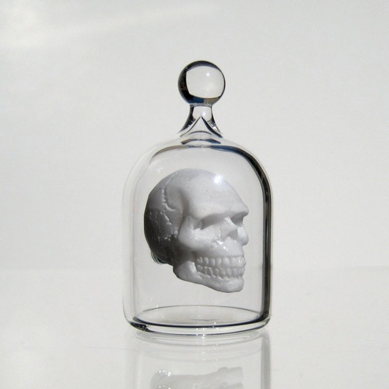 Miniature Skull in a Jar, Human Skull in Hand Blown Glass image 3