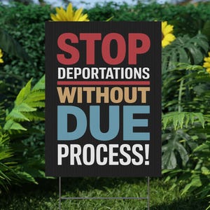 Stop Deportations Without Due Process Protest Sign PRINTABLE, Anti-Trump Poster For March, Digital Download, Political Activist Rally Sign