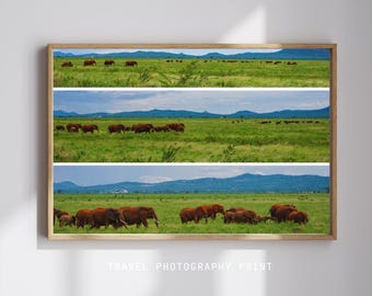 Kenia Safari Elefant Photo Print: Afrikanische Wildtiere Wandkunst